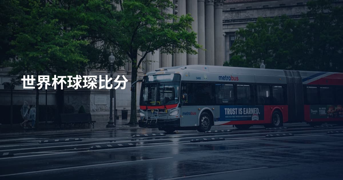 世界杯球琛比分