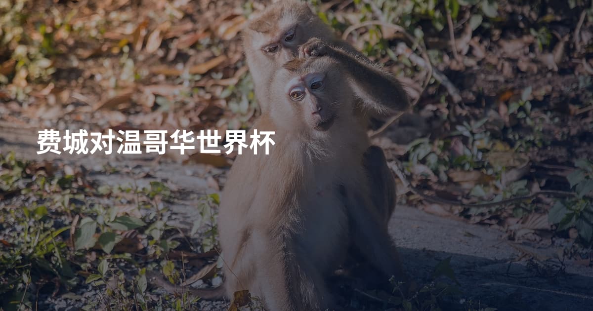 费城对温哥华世界杯