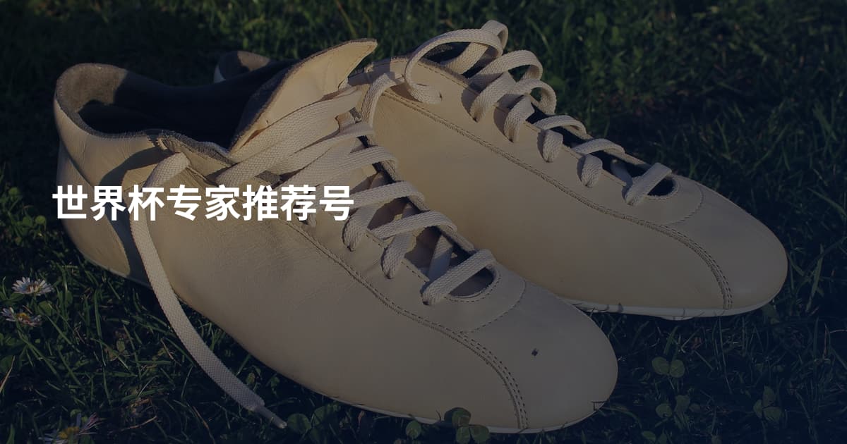 世界杯专家推荐号