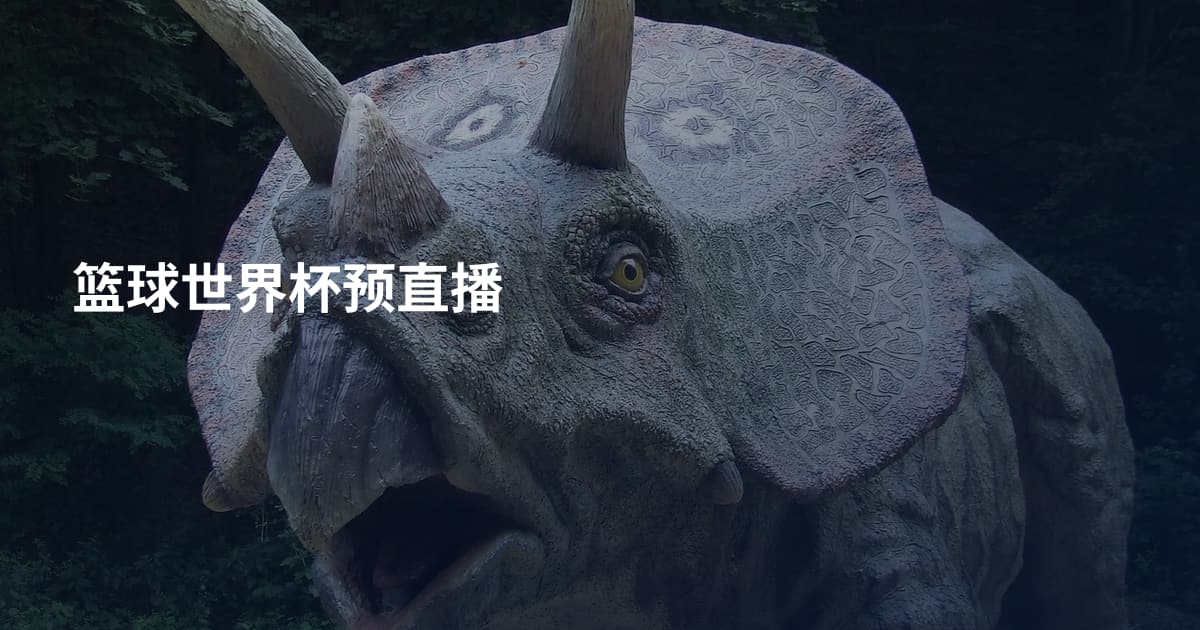 篮球世界杯预直播