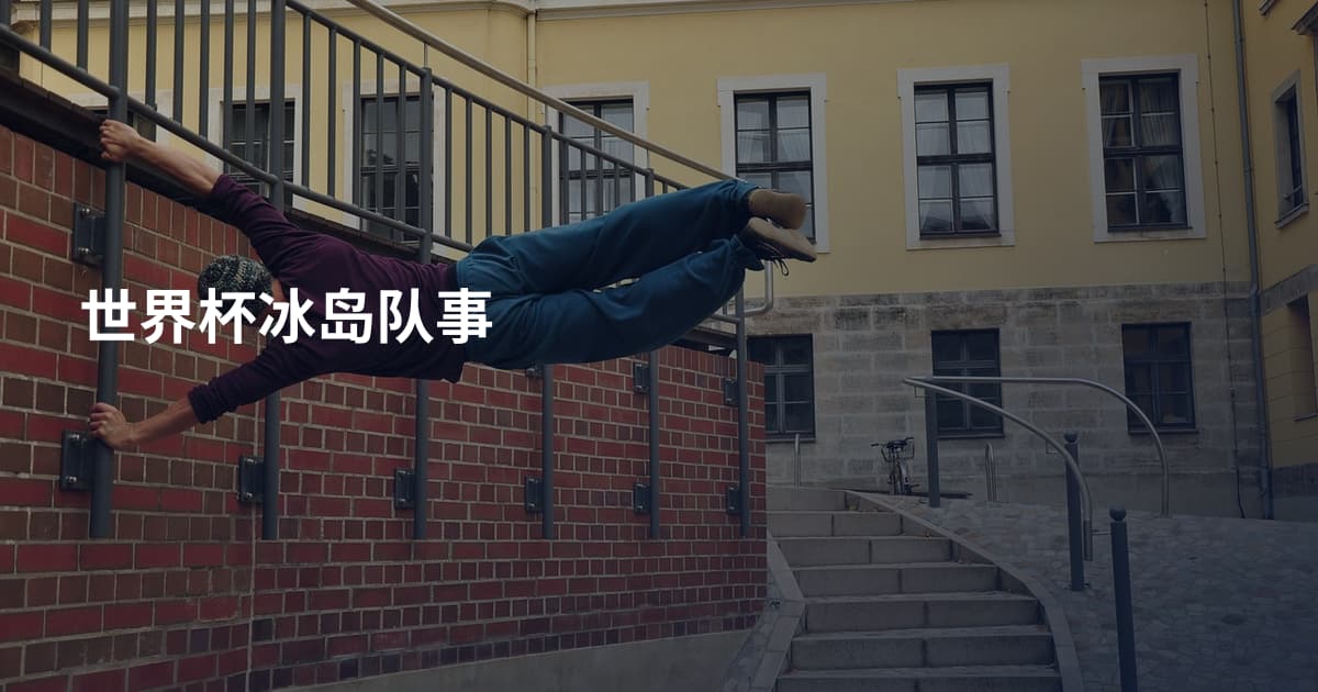 世界杯冰岛队事