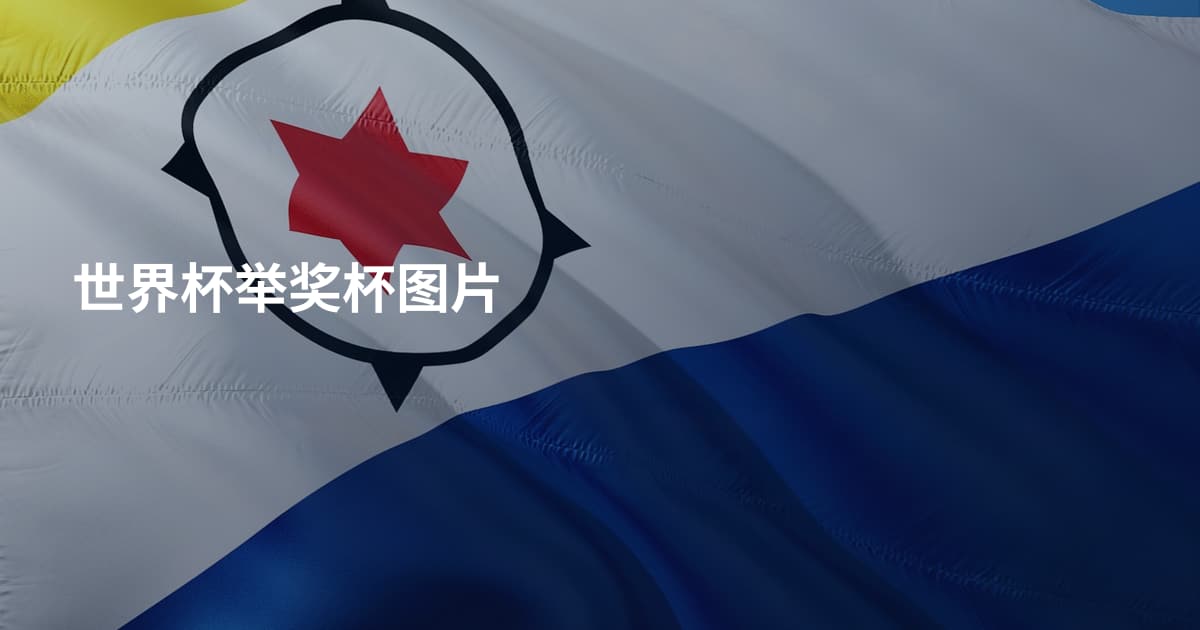 世界杯举奖杯图片