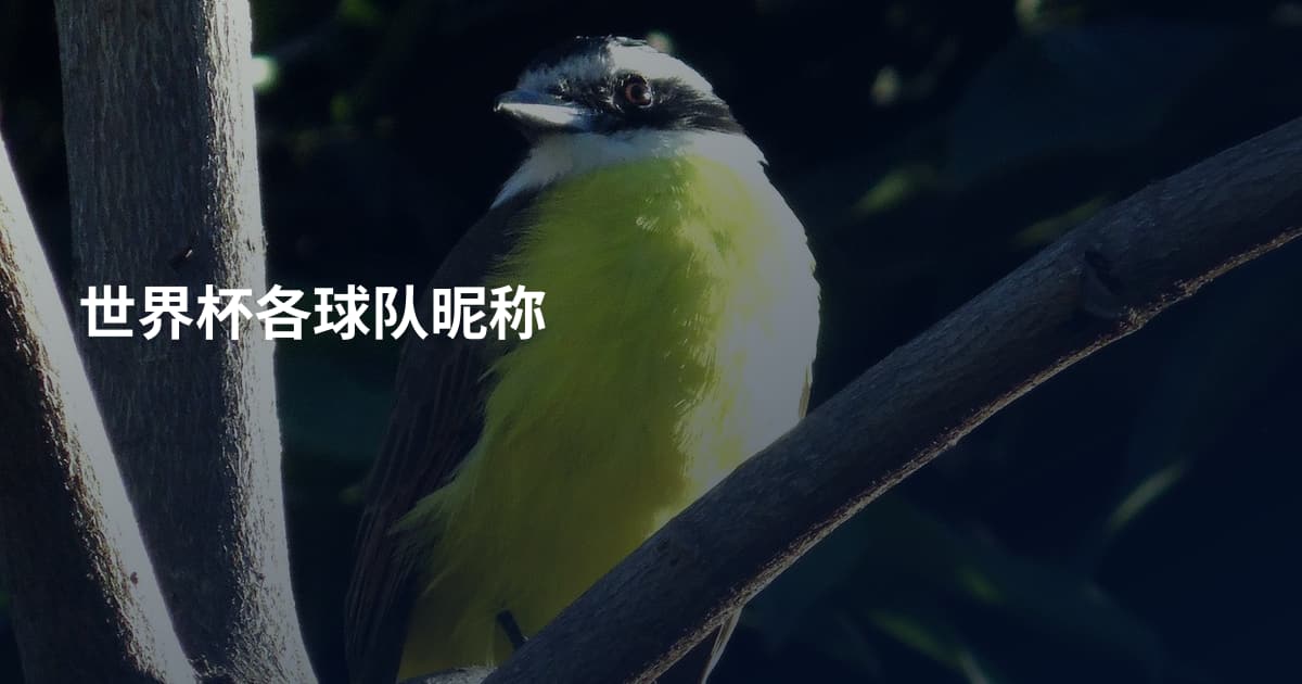 世界杯各球队昵称