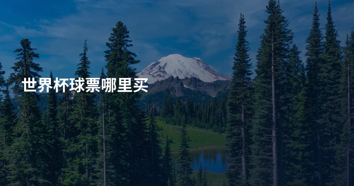 世界杯球票哪里买