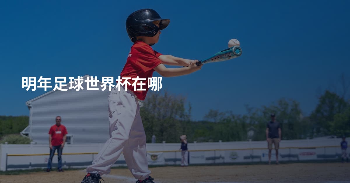 明年足球世界杯在哪