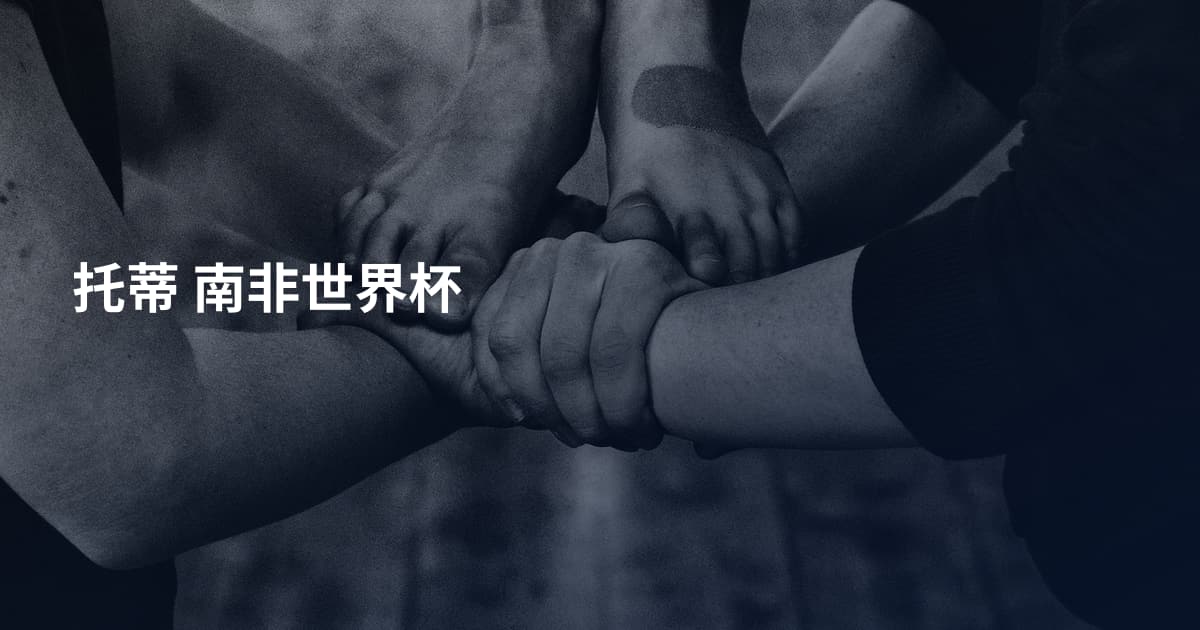 托蒂 南非世界杯