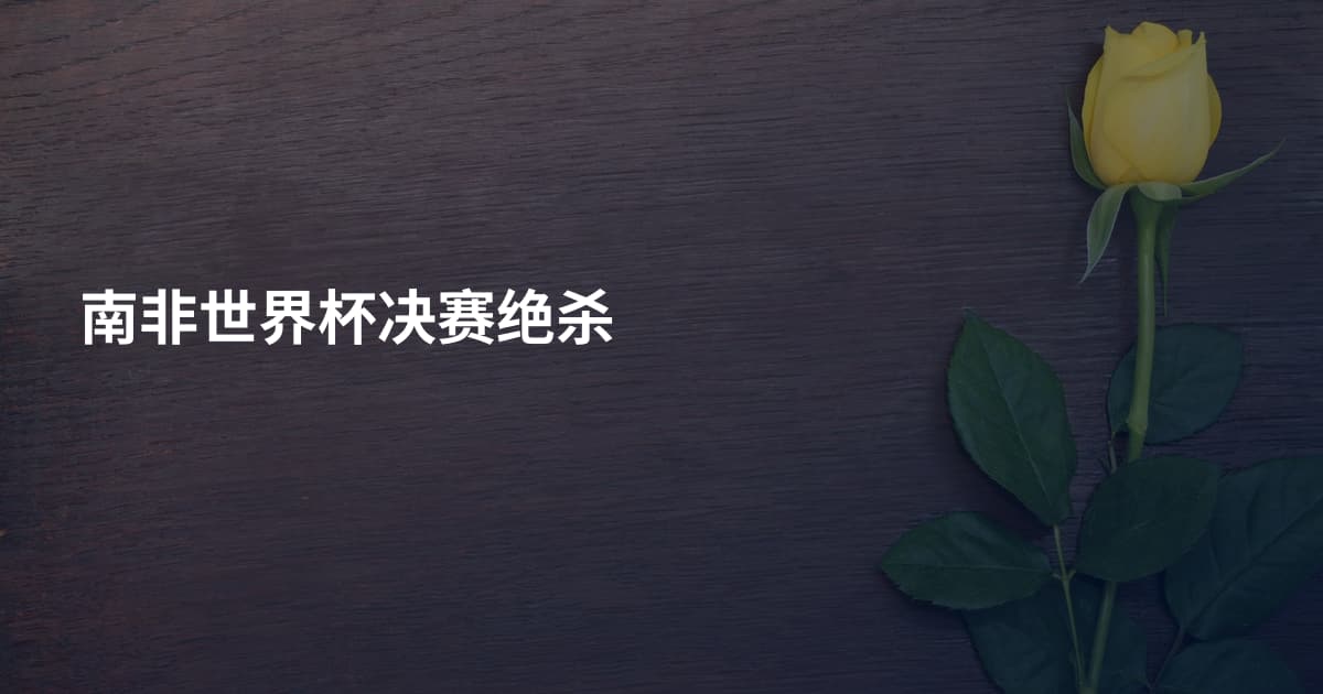 南非世界杯决赛绝杀