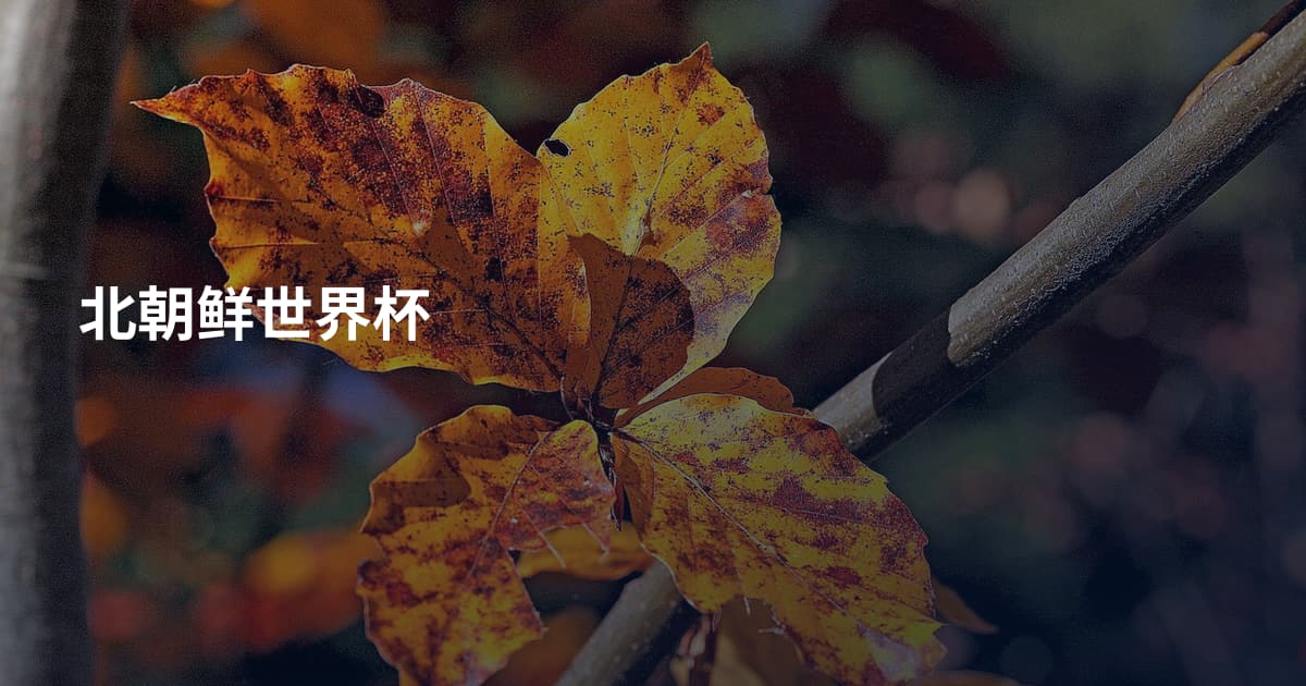 北朝鲜世界杯