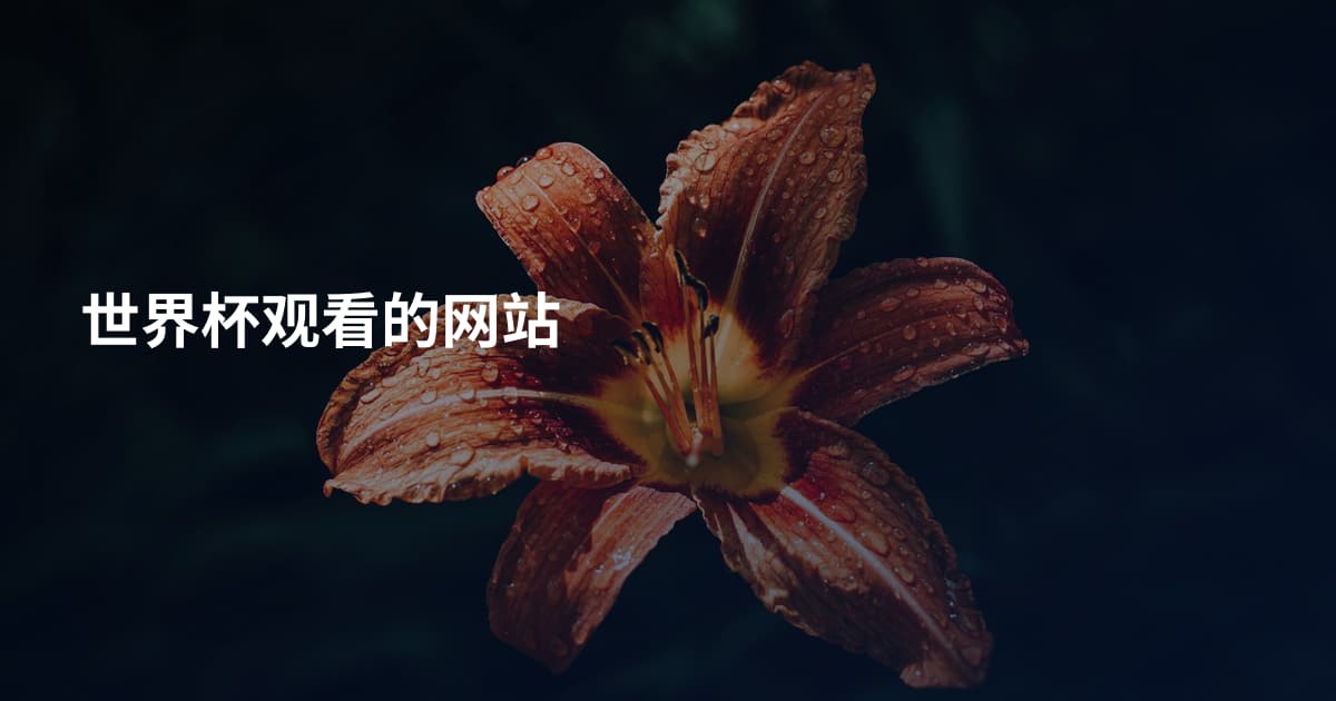 世界杯观看的网站