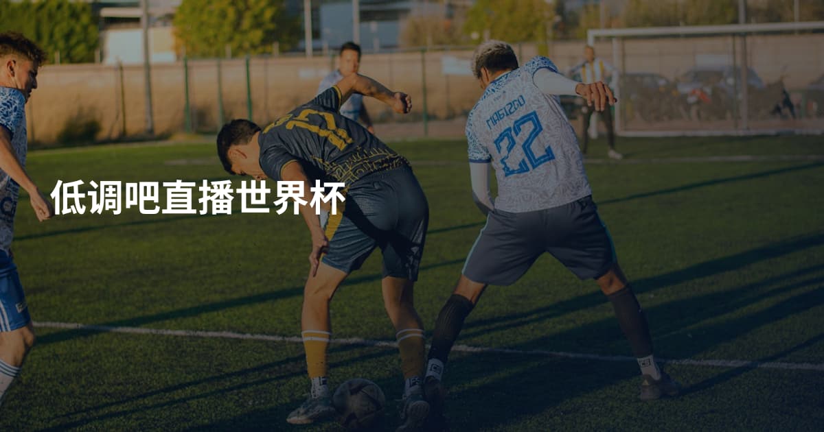 低调吧直播世界杯