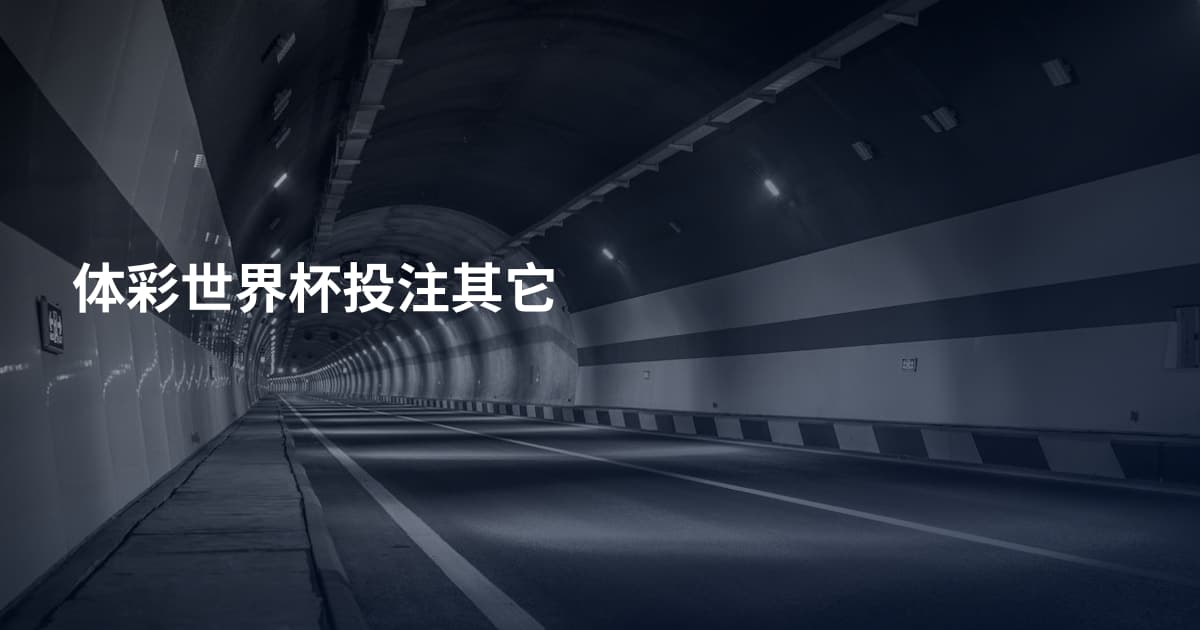 体彩世界杯投注其它