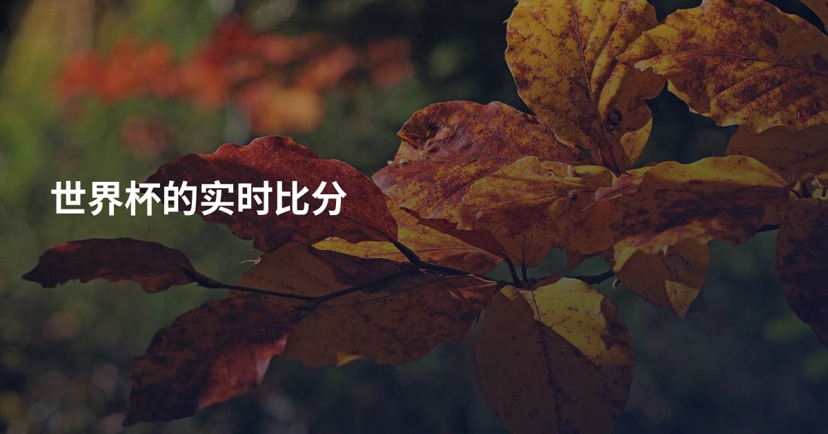 世界杯的实时比分