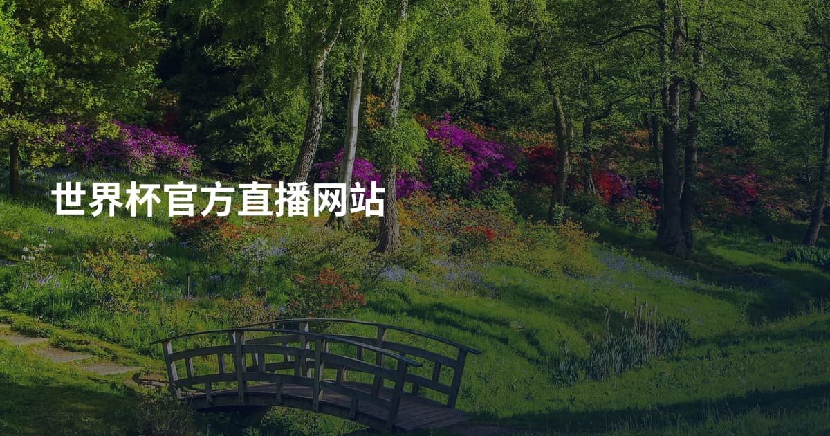 世界杯官方直播网站