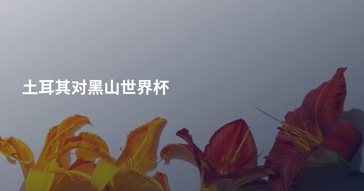 土耳其对黑山世界杯