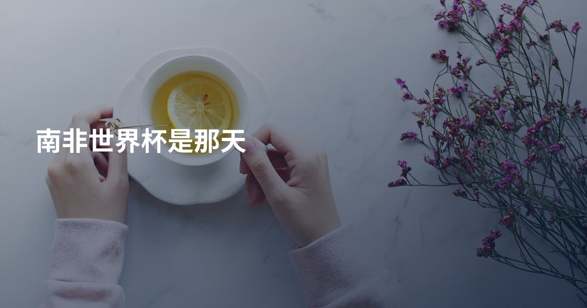 南非世界杯是那天