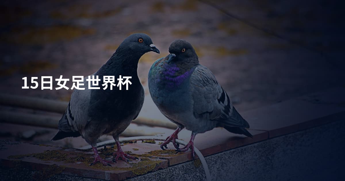 15日女足世界杯