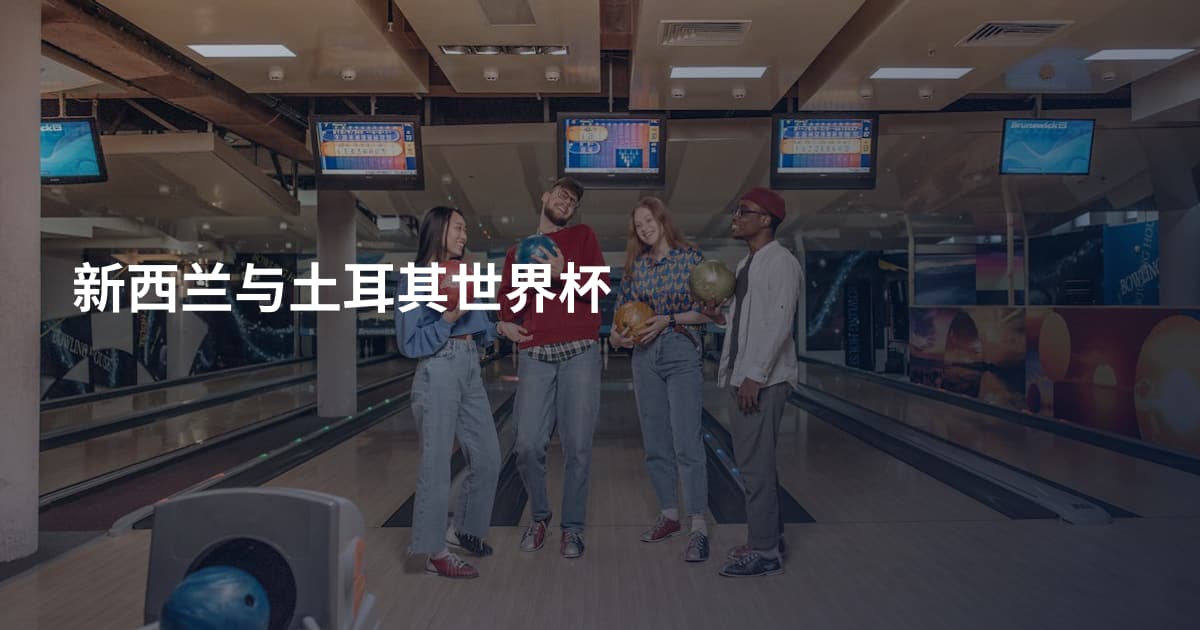 新西兰与土耳其世界杯