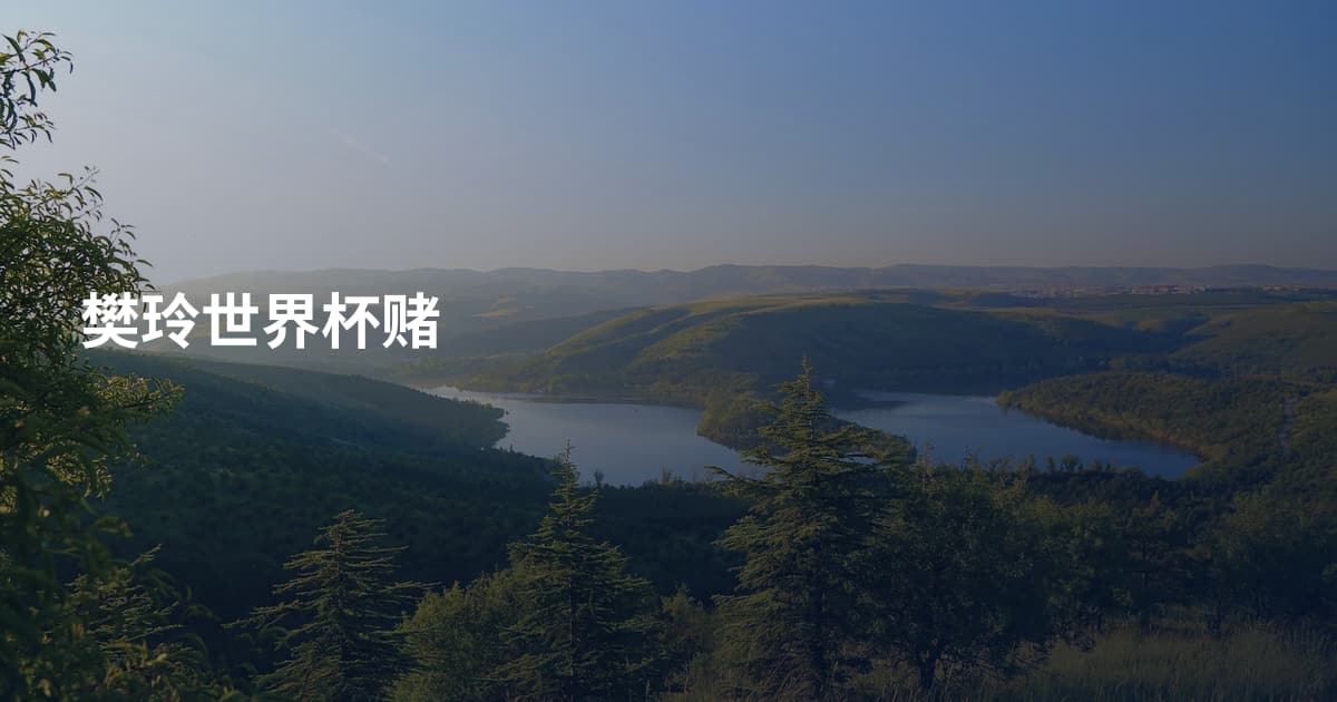 樊玲世界杯赌