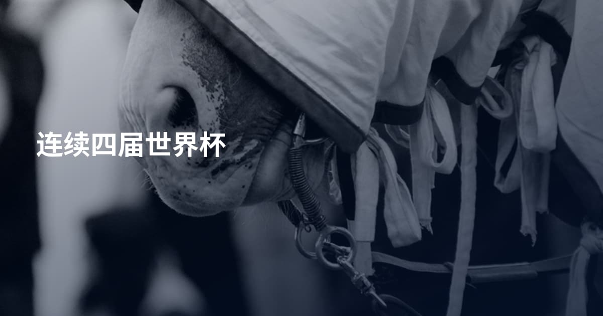 连续四届世界杯