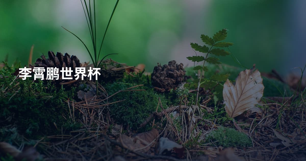 李霄鹏世界杯