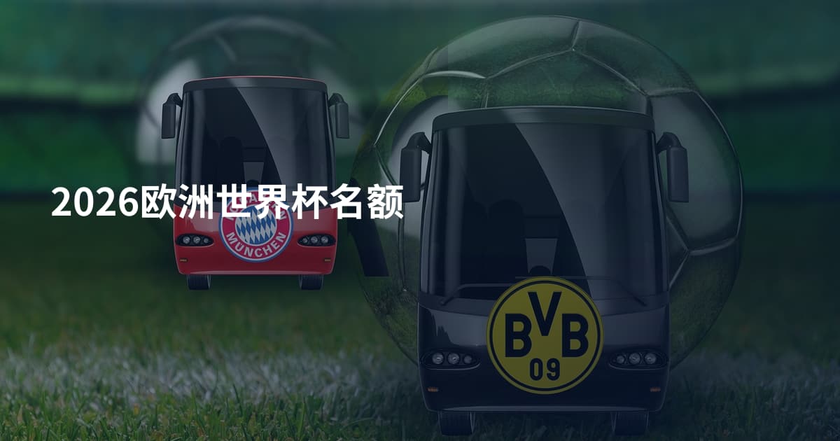 2026欧洲世界杯名额