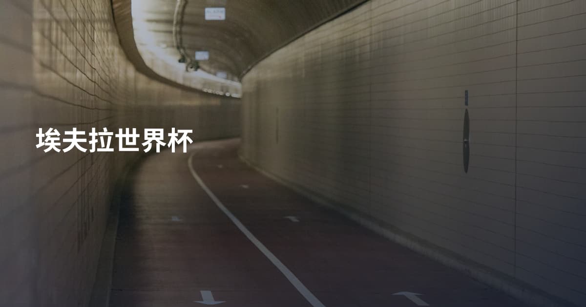 埃夫拉世界杯