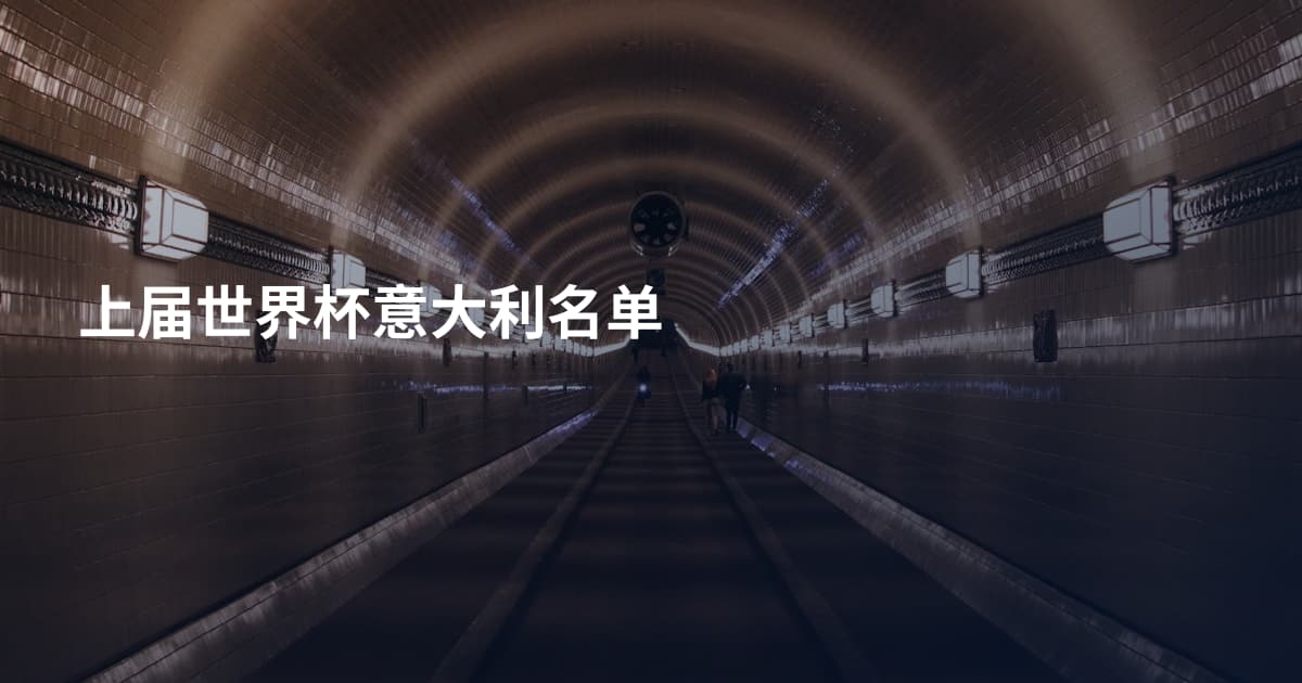 上届世界杯意大利名单