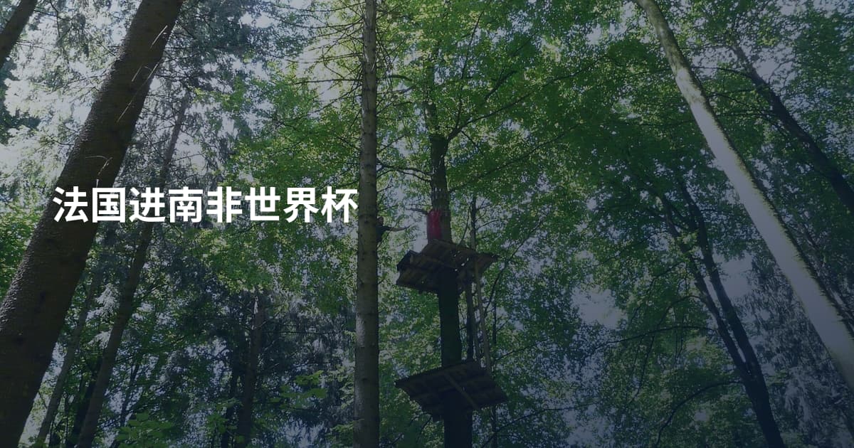 法国进南非世界杯