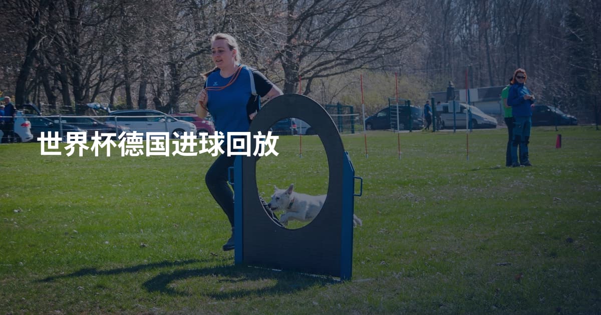 世界杯德国进球回放