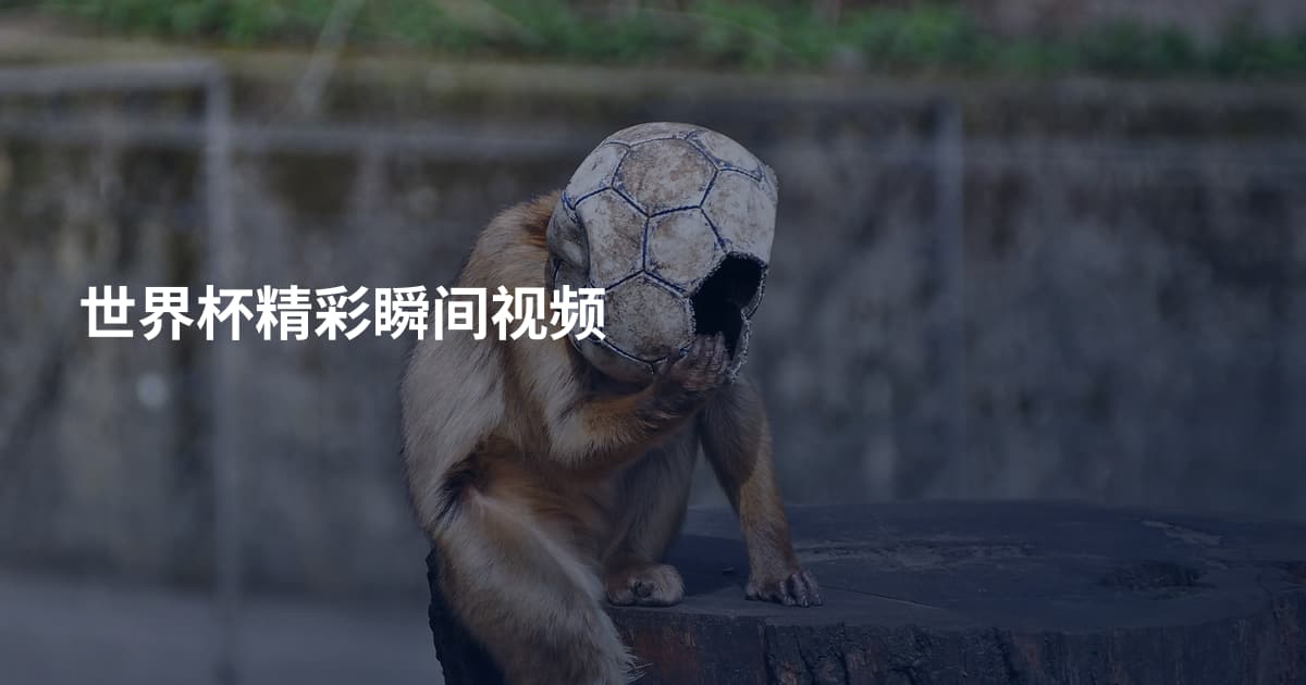世界杯精彩瞬间视频