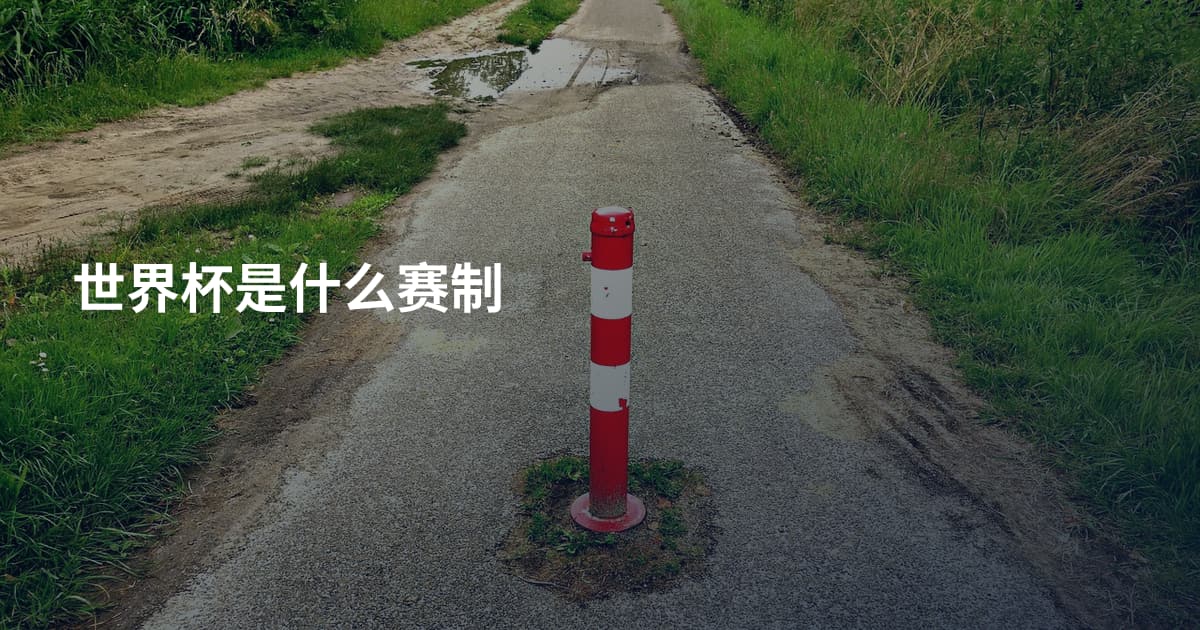 世界杯是什么赛制