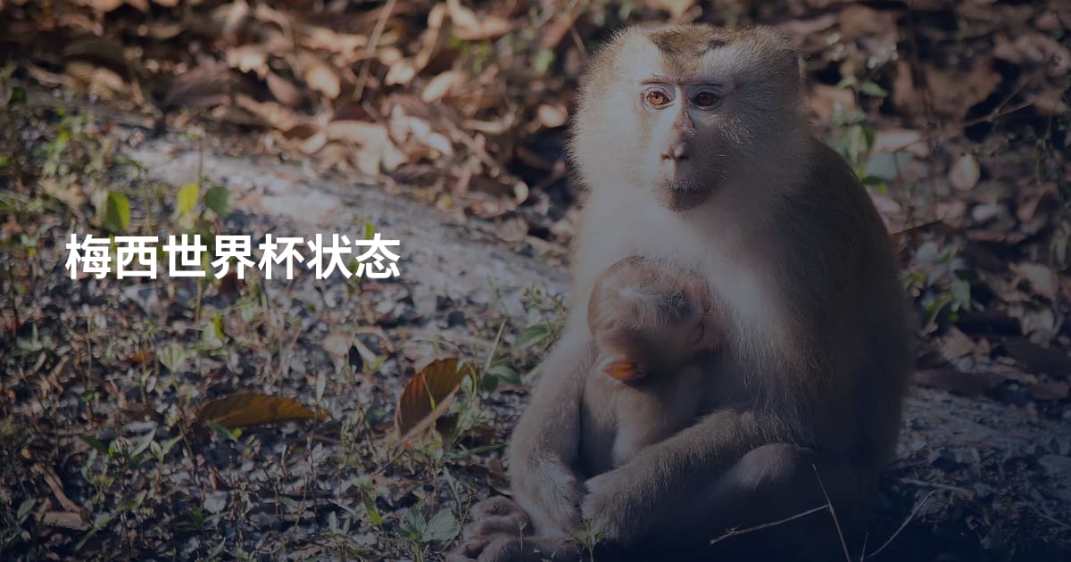 梅西世界杯状态