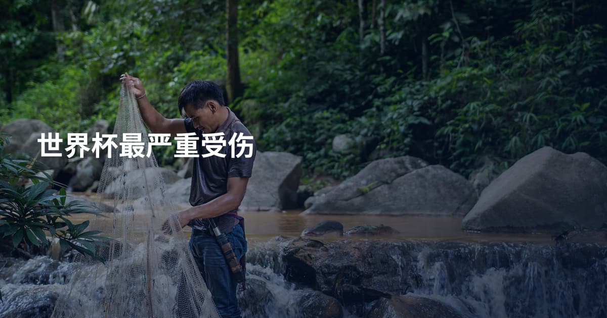 世界杯最严重受伤