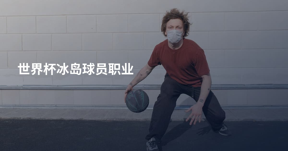 世界杯冰岛球员职业