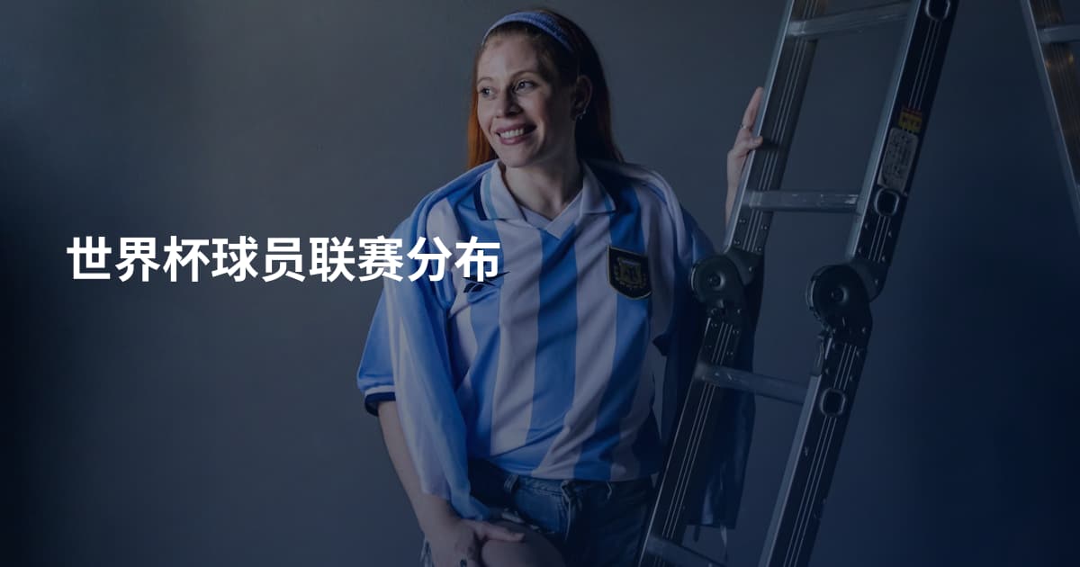 世界杯球员联赛分布