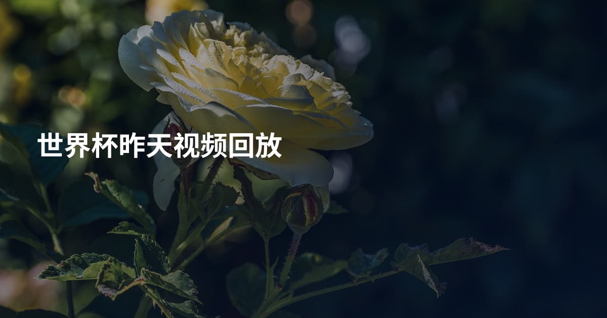 世界杯昨天视频回放