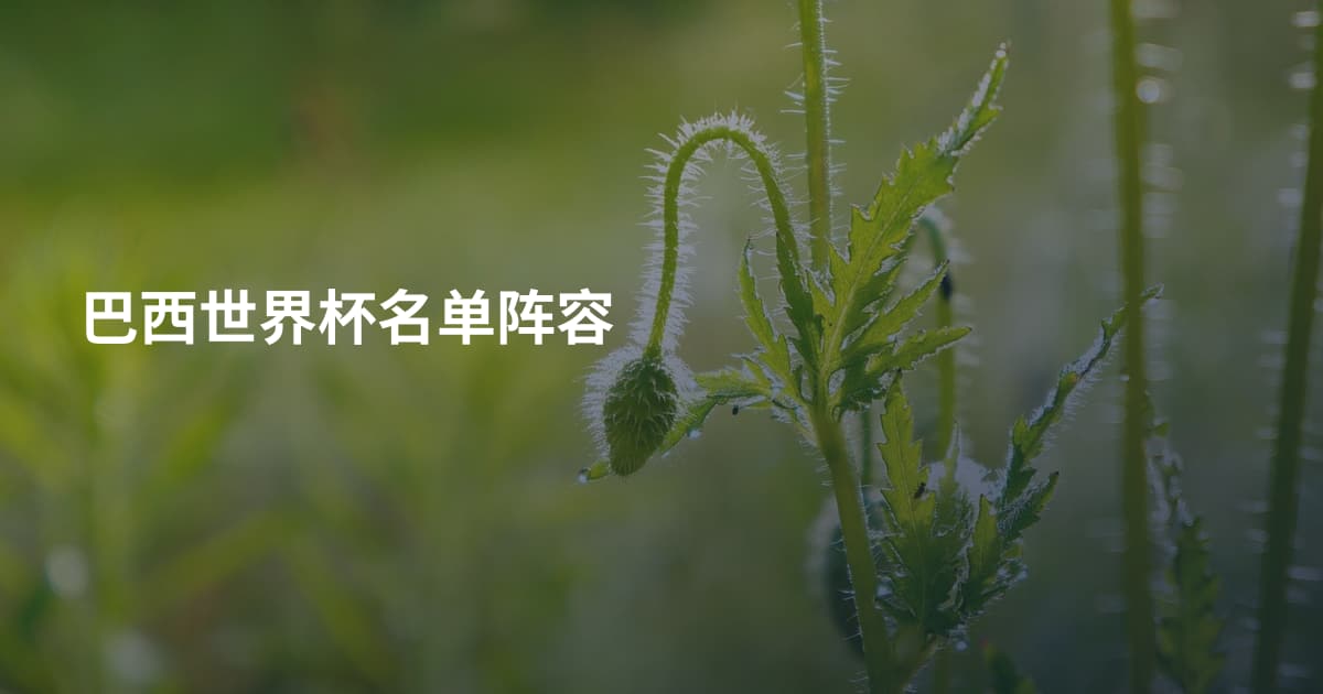 巴西世界杯名单阵容