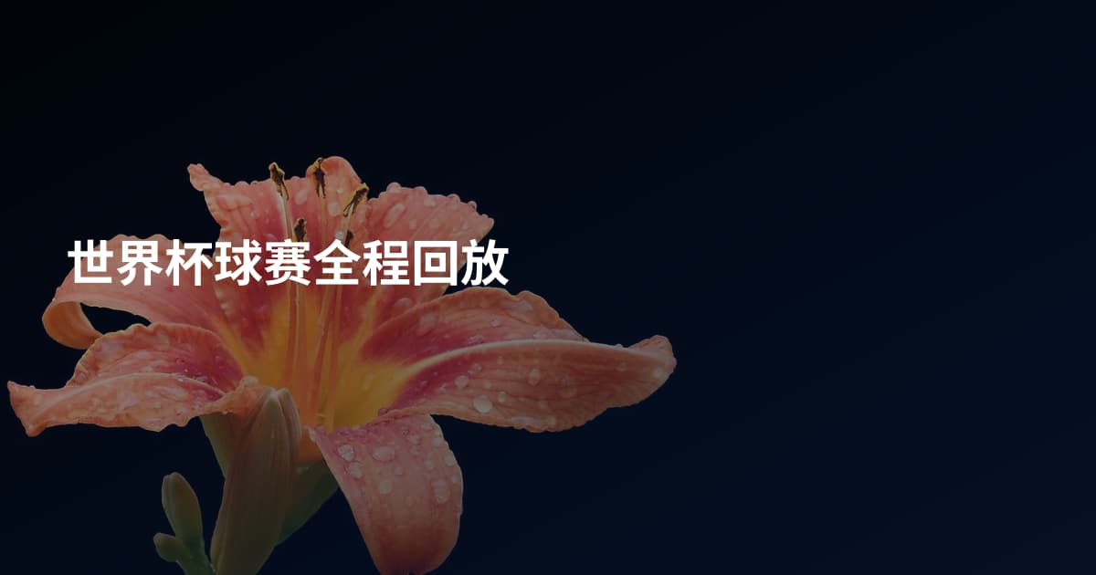 世界杯球赛全程回放