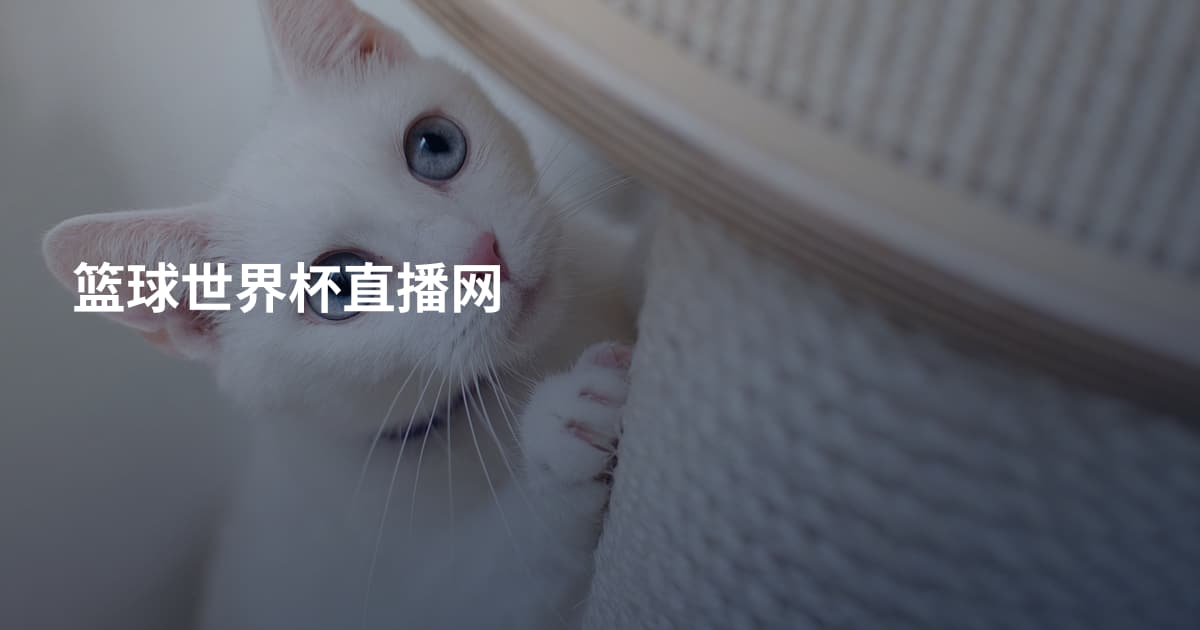 篮球世界杯直播网
