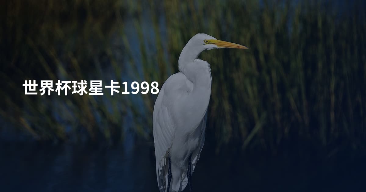 世界杯球星卡1998