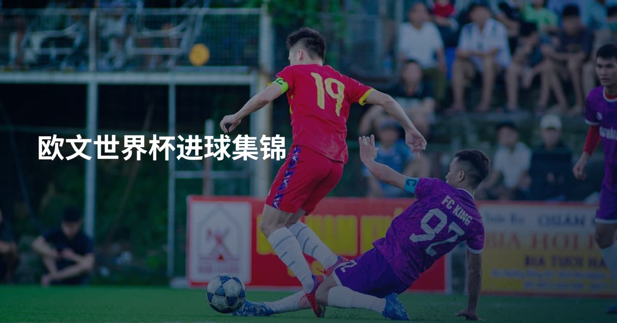 欧文世界杯进球集锦