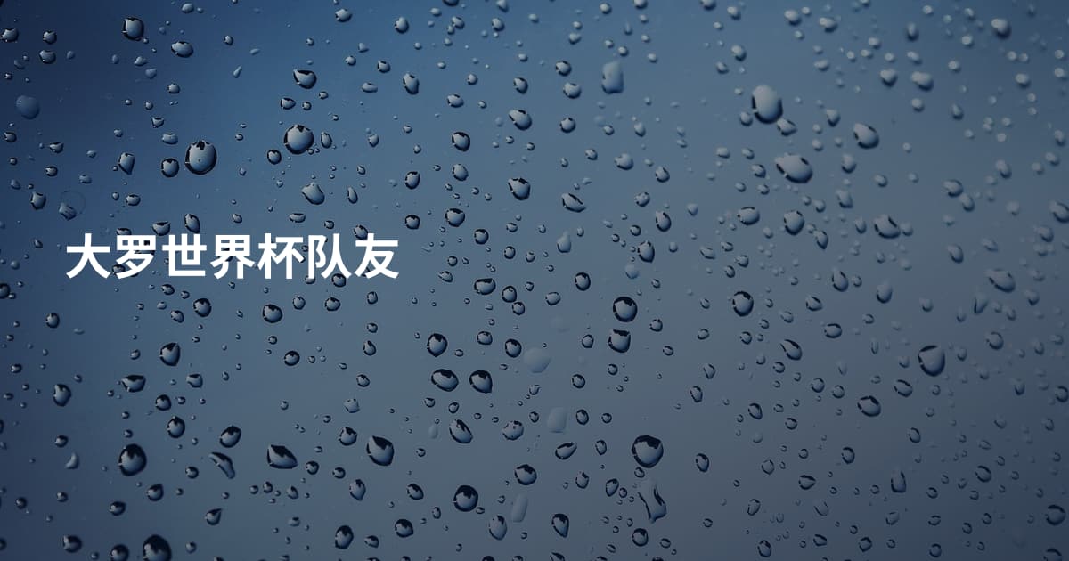 大罗世界杯队友