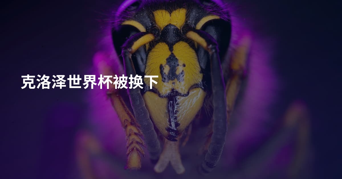 克洛泽世界杯被换下