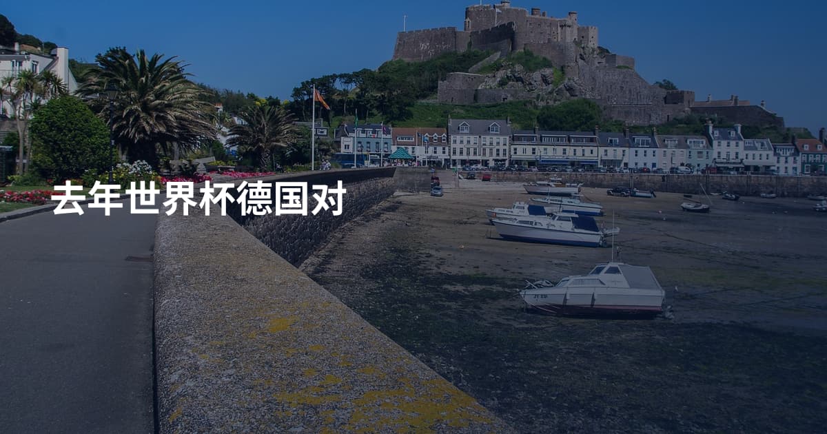 去年世界杯德国对