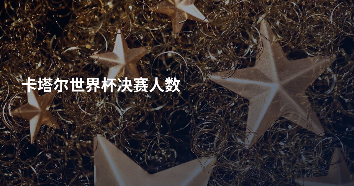 卡塔尔世界杯决赛人数