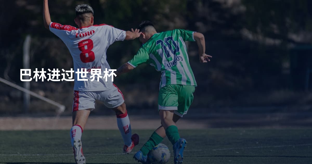巴林进过世界杯