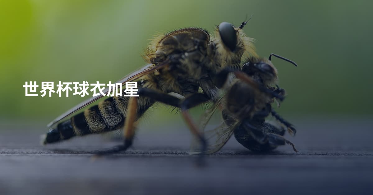 世界杯球衣加星