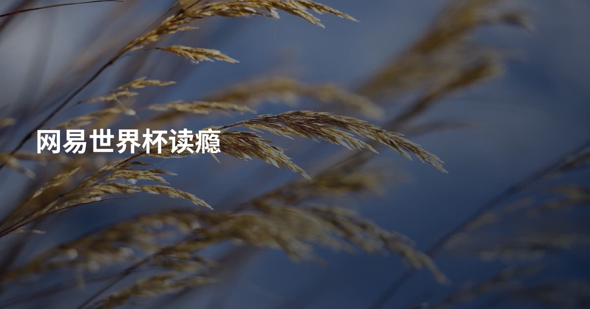 网易世界杯读瘾