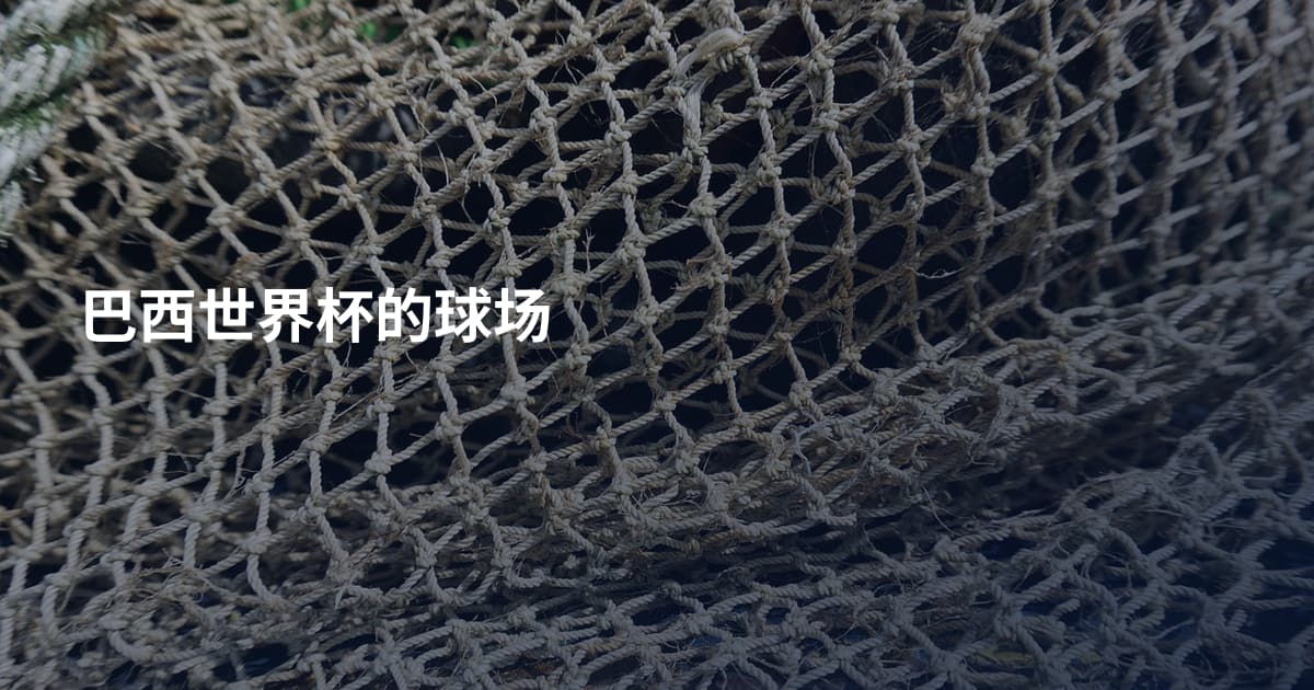 巴西世界杯的球场