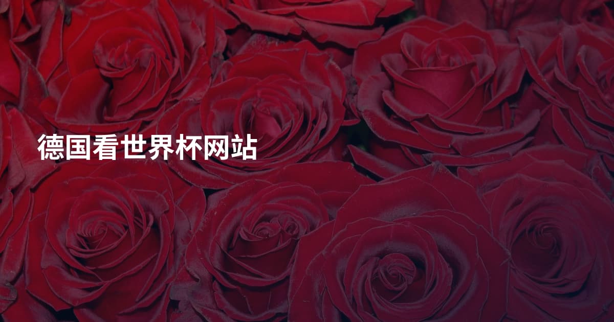 德国看世界杯网站